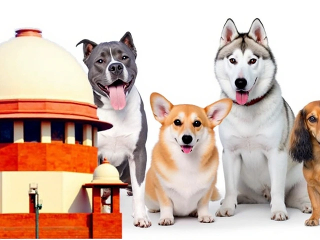 Supreme Court का सख्त आदेश: दिल्ली-NCR से सभी आवारा कुत्ते 8 हफ्ते में हटाए जाएं, MCD को स्टरलाइजेशन सेंटर अपग्रेड करने के निर्देश